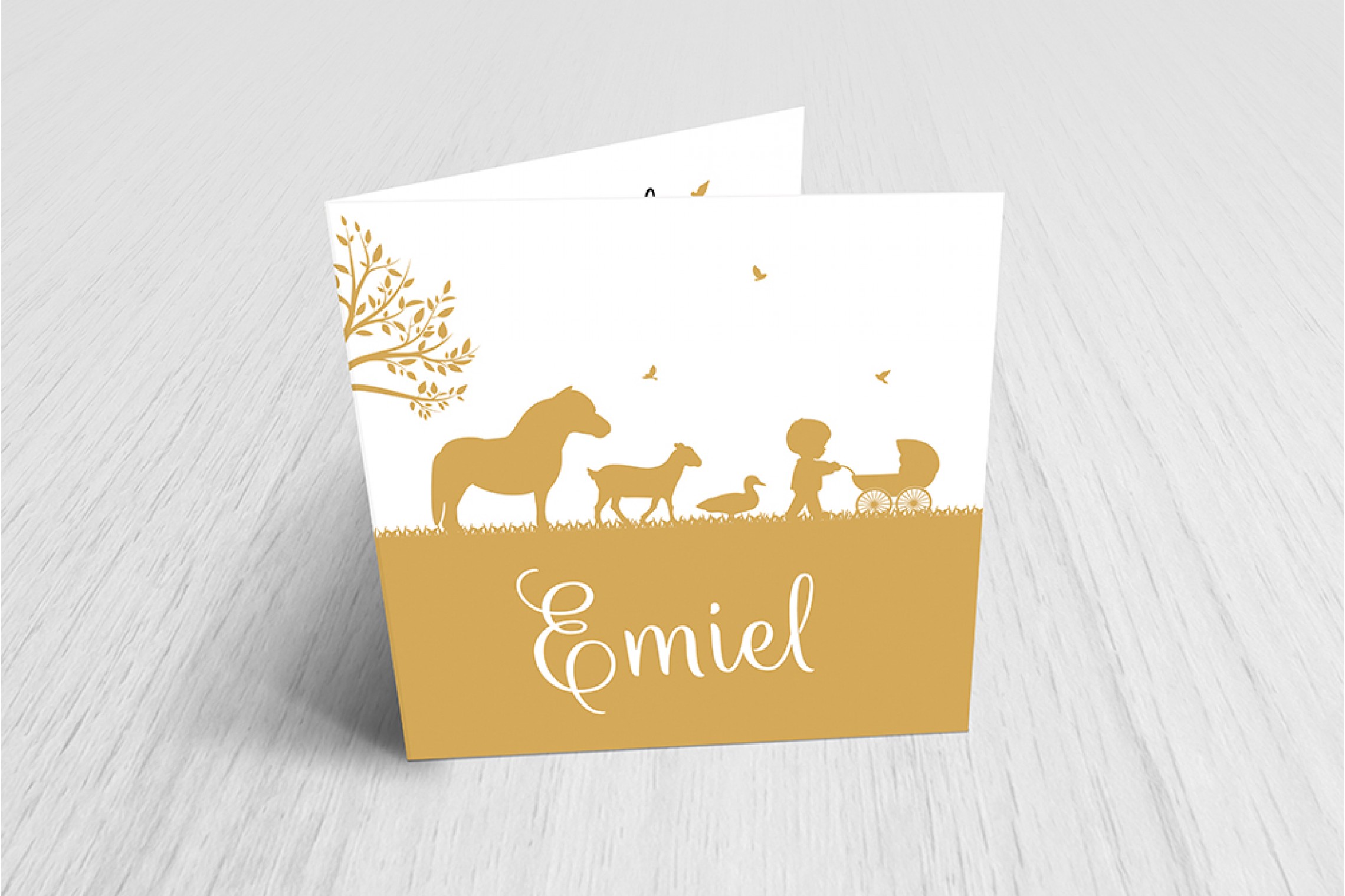 Jongen met kinderwagen